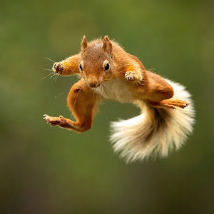 Meet your Posher, Sofia